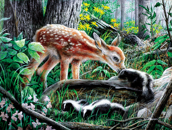 SunsOut Friends of the Forest (SUN57776)