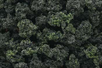 Woodland Scenics Bushes Clump Foliage Frst Bld ( WOOFC149)