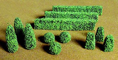 JTT Boxwood Plants  (JTT95585)