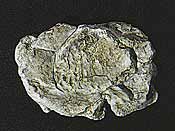 Woodland Scenics Wind Rock rock mold 5×7   (WDS1237)
