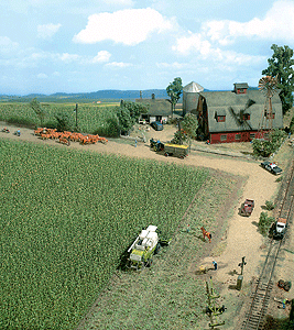 Corn Field 10x10cm (189-1202)