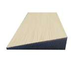 Birch 1/4 x 12 x 24 - 5 ply Birch Aircraft Plywood (B227)