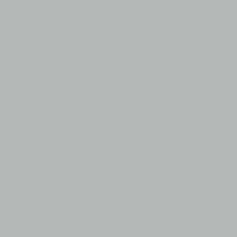 Mission Models Silver 1oz Water Based  Acrylic (MIOMMM006