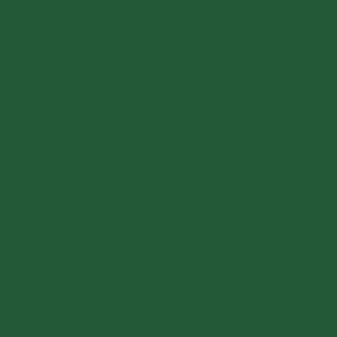 Mission Models Green MM (MIOMMP004)