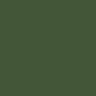 Mission Models RAF Dark Green (MIOMMP077)