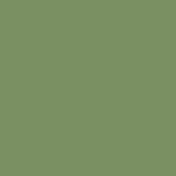 Mission Models Raf Interior Green  (MIOMMP079)