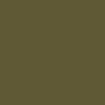 Mission Models USAAF OLIVE DRAB 41 WWII   (MIOMMP091)