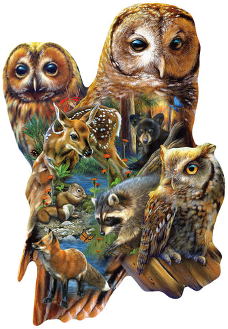 SunsOut Forest Owls (SUN97055)