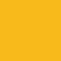 Tru-Color Kansas City Southern Southern Belle Yellow Acrylic Paint 1oz 29.6ml -- (TUP300)