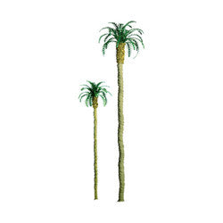 JTT Scenery Products Professional Tree, Palm 4" (3) (JTT94239)