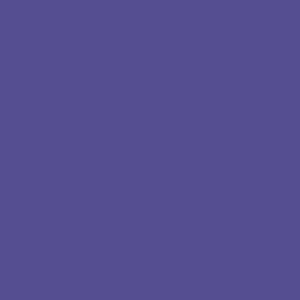 Mission Models Purple ( PurpleViolet)  (MIOMMP121)